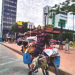 Gabriel Rincón y su mascota: un viaje de libertad, una aventura de ‘pelos’ sobre bicicleta